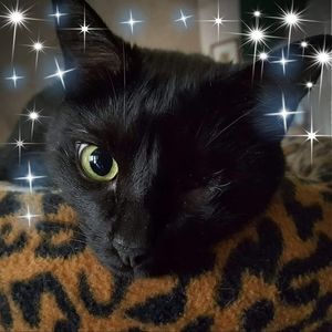 Meet your Posher, Kathryn